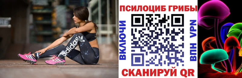 Галлюциногенные грибы Cubensis  Урус-Мартан 